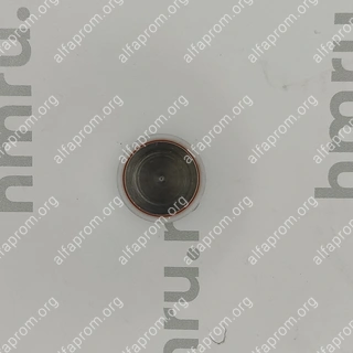 Поршень с кольцами (PTFE) для LPF/PPF-50(T)