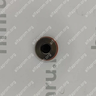 Поршень с кольцами (PTFE) для LPF/PPF-50(T)
