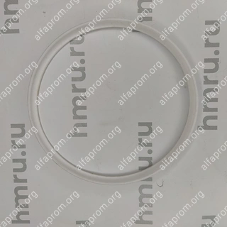 Уплотнительное кольцо PTFE на дозирующий поршень для PPF/LPF-5000