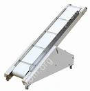 Сопутствующее