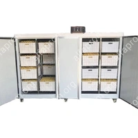 Проращиватель семян, бобов, злаков BSC-500A Foodatlas